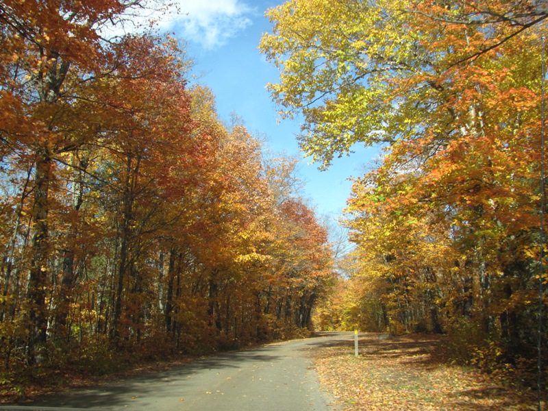 The drive into Canisbay campground in Autumn