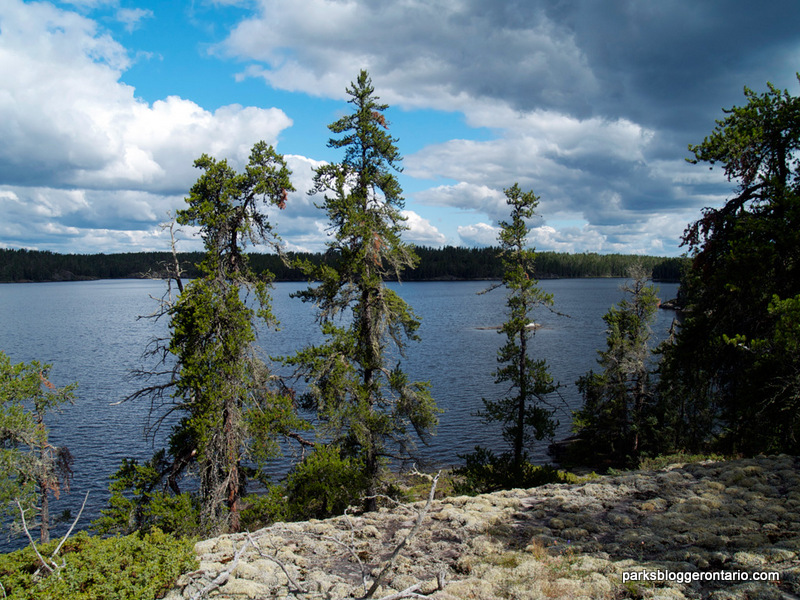 Canadian Shield rock covering land surface at Woodland Caribou Provincial Park Ontario