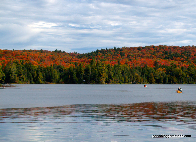 Hambone Lake Canoeing Algonquin