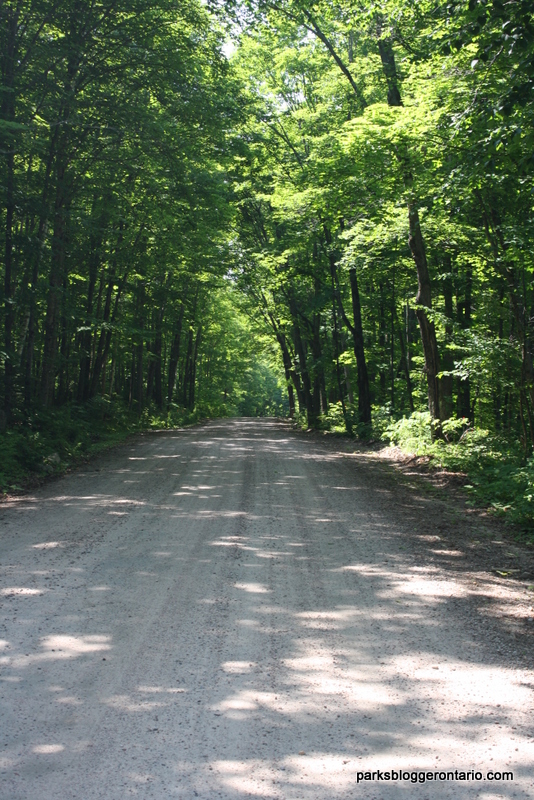 Brent campground road in Algonquin
