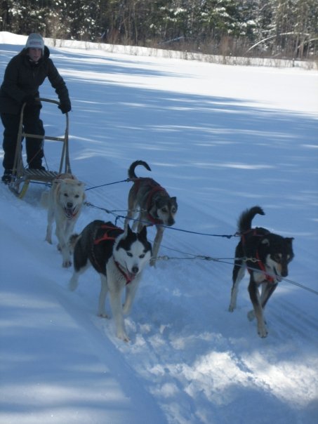 Dog sledding adrenaline - Alice - Ontario