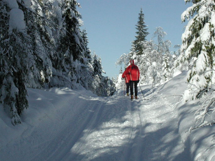 cross country skiing (from thinkstock)