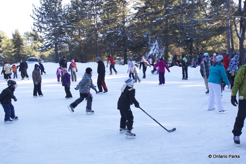 Outdoor skating at Algonquin winter in the wild festival