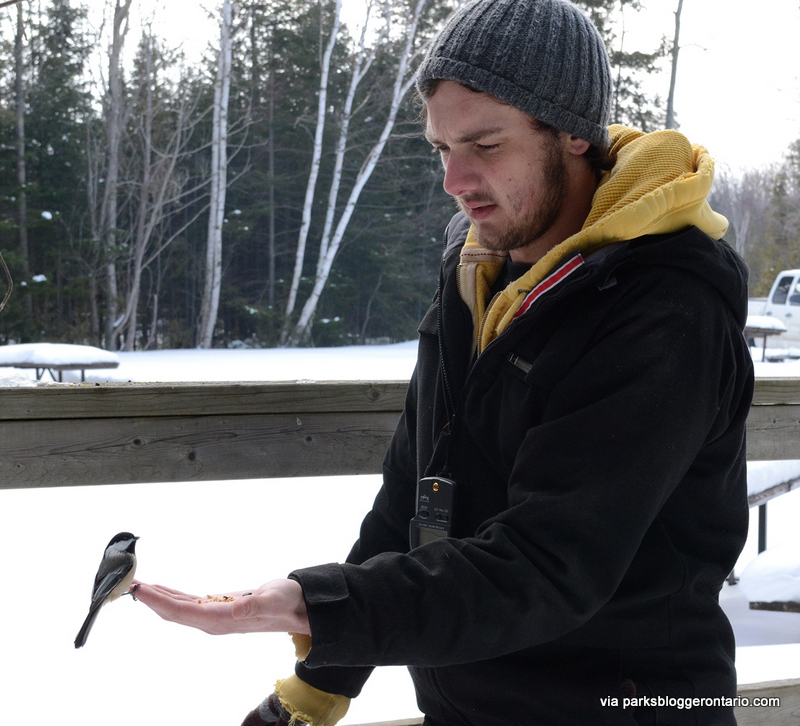 Bird feeding at Macgregor point provincial park