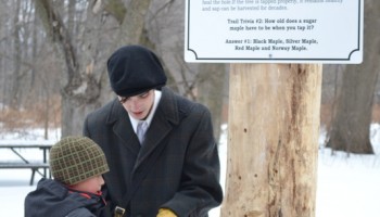 How to tap a maple tree