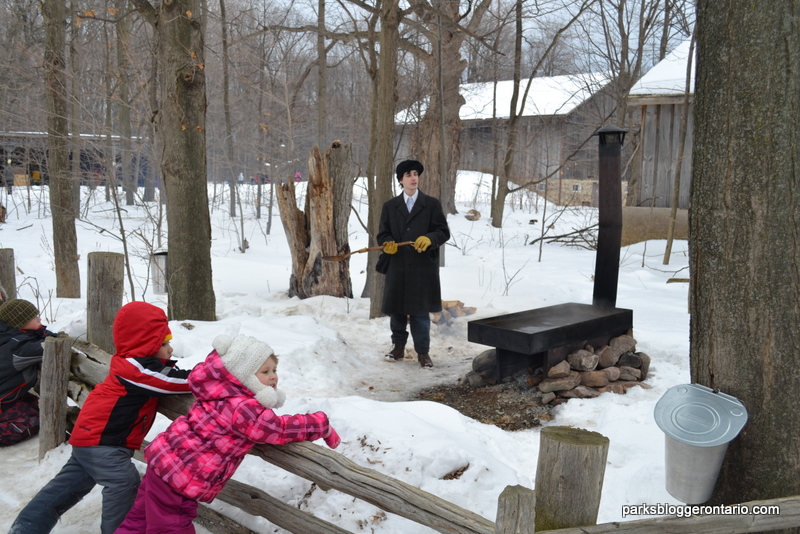 maple syrup festival at Bronte Creek park