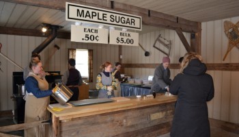 making maple sugar from fresh syrup