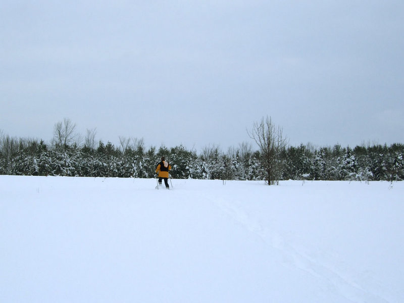 getting started with snowshoeing