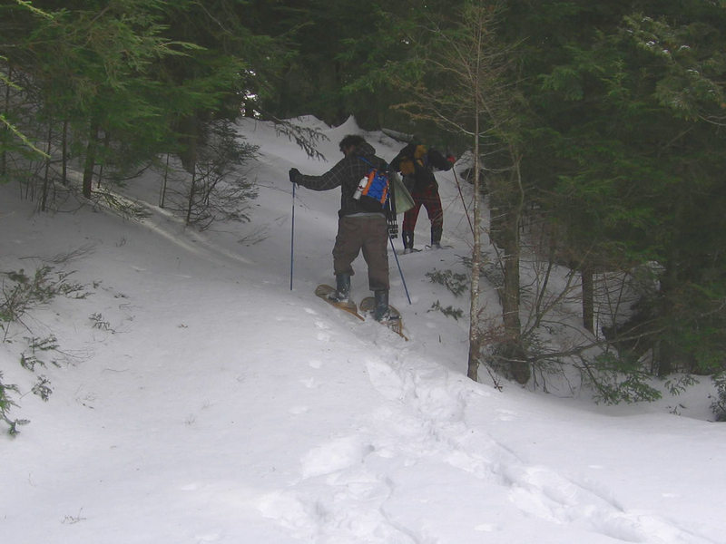 getting started with snowshoeing
