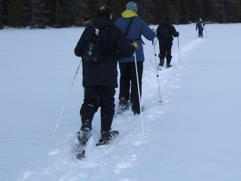 introduction to snowshoeing