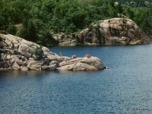 Swimmers at George Lake Killarney