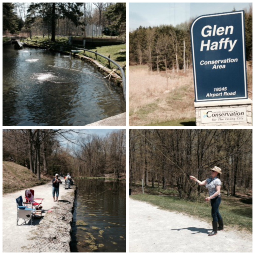 Fly fishing at Headwaters Region of Ontario