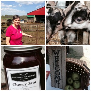 Ontario Farmers Market at Headwaters Region