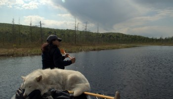 Storm clouds in the early stretches of Crow River, Algonquin