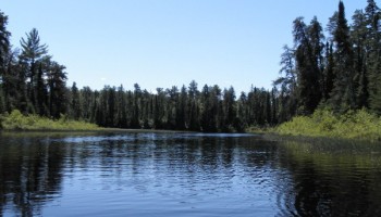 Continuing our canoe trip down Baptism Creek. This creek is slow moving and winding, and after about 2.5 km feeds into Pickerel Lake