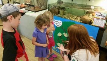 Kids experiencing turtles at MacGregor Point