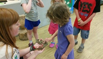 Kids experiencing snakes at MacGregor Point Park