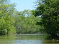 paddlers