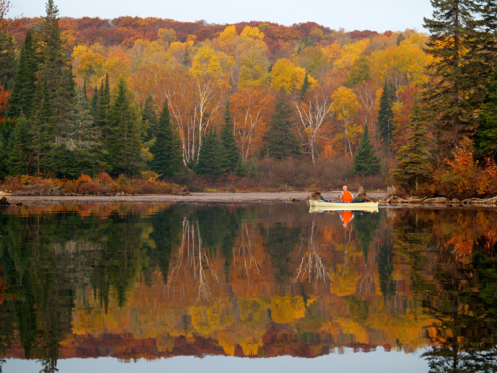 Little Doe Lake, Algonquin Fall Colours