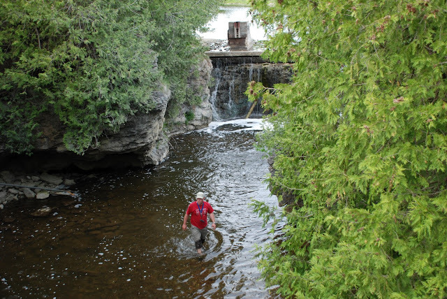 Looking for a geocache at Rockwood Conservation Area