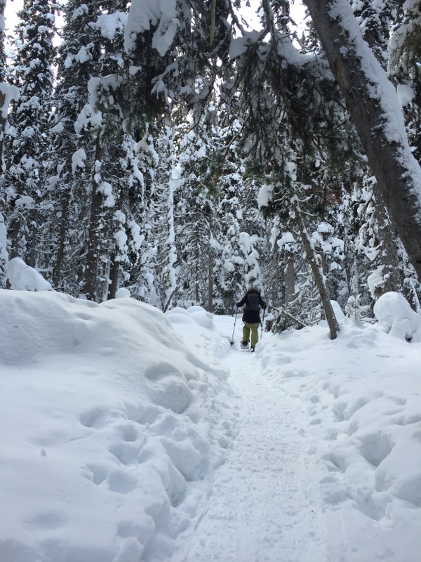 tips to encourage kids to get involved in snowshoeing