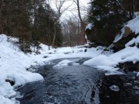 Downstream from the falls