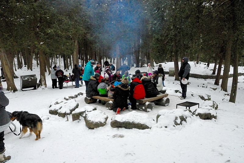 Hilton Falls Campfire Pit