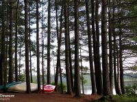 Jingwakoki Campground, Samuel de Champlain Provincial Park