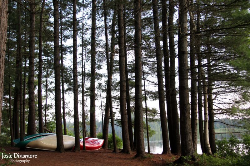 Jingwakoki Campground, Samuel de Champlain Provincial Park