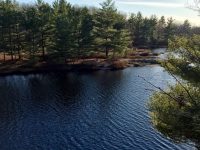 Torrance Barrens Dark Sky Preserve