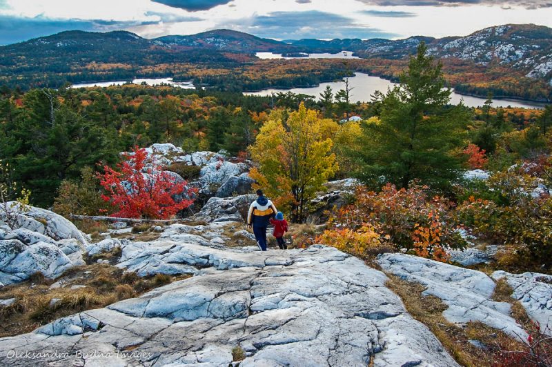 fall colours Crack Killarney