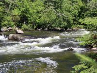 The lower rapids