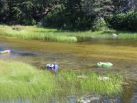 The calm waters of Rushing River leading to the rapids.  Almost a lazy river.