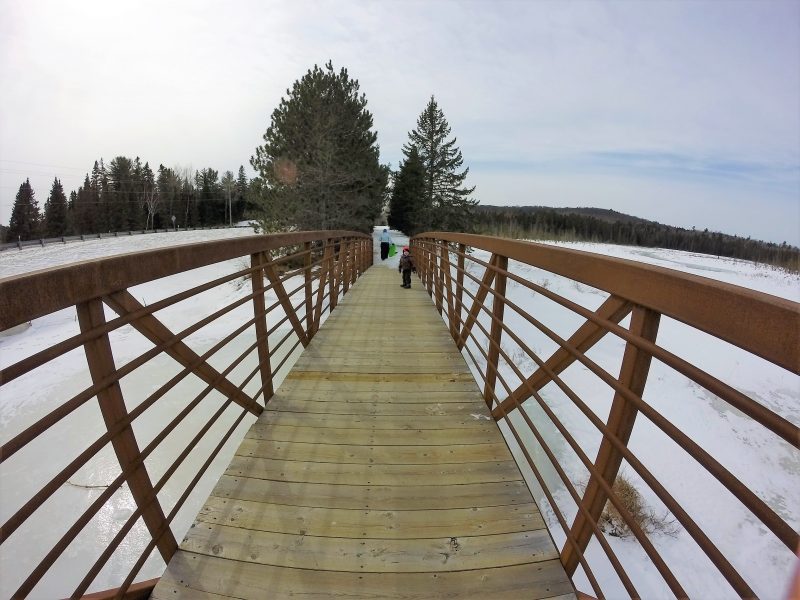 Spruce Bog Trail Foot Bridge