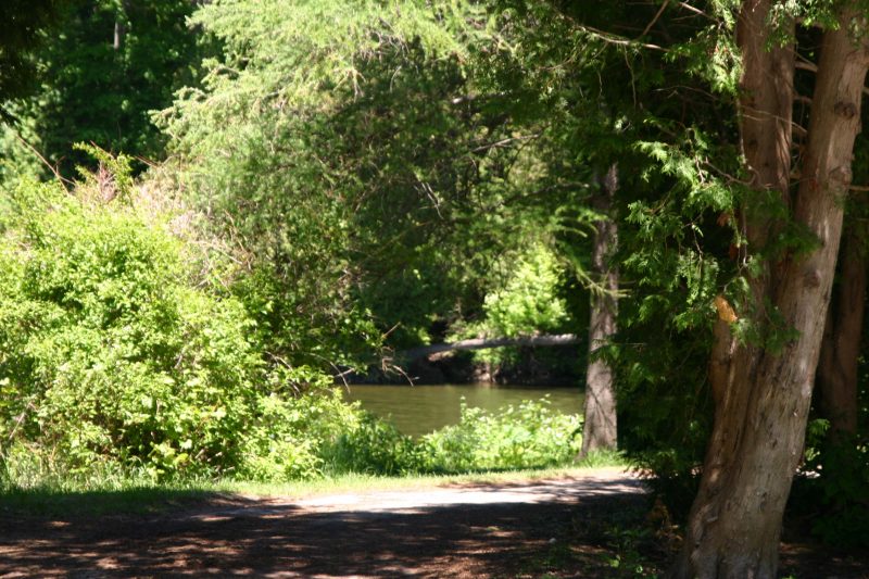 Sauble Falls Camping - View of the river from our site