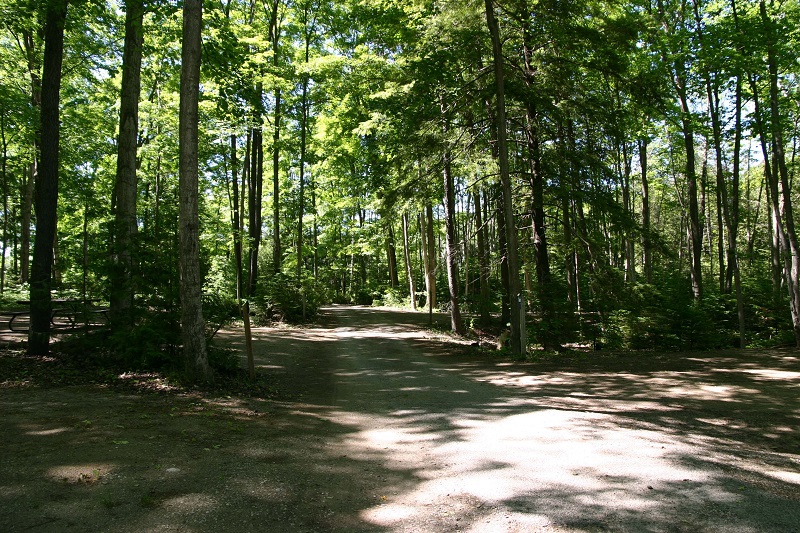 Sauble Falls - East Camp Non serviced sites