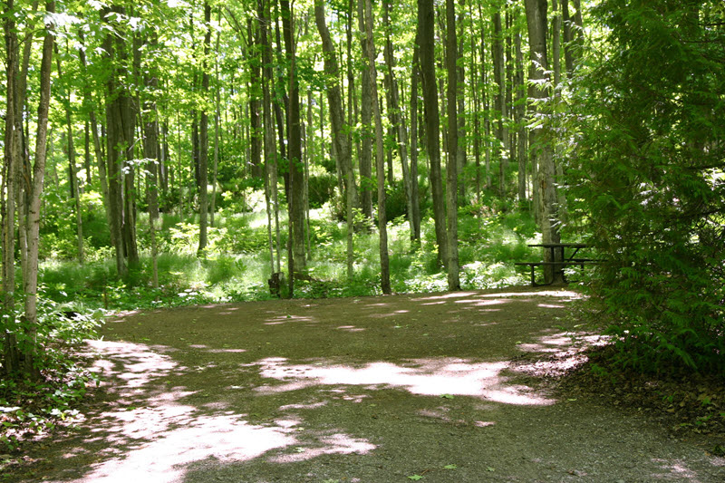 Sauble Falls Provincial Park West Campground Sites on the opposite side of the road from the river