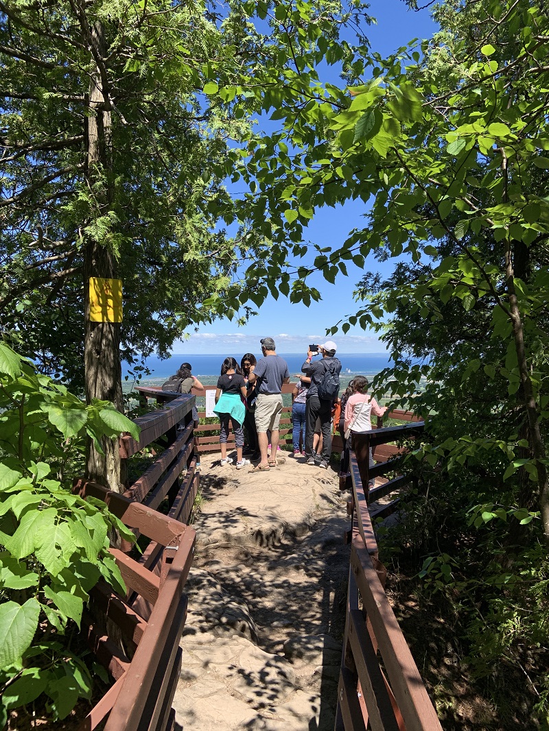 lookout point near zip line